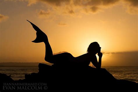 Silhouette Of A Mermaid Lying On A Rock At Sunset Real Life Mermaids Mermaid Photos Mermaid Life