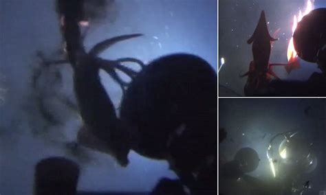 Giant Squid Filmed Flailing And Spraying Ink At Greenpeace Submarine