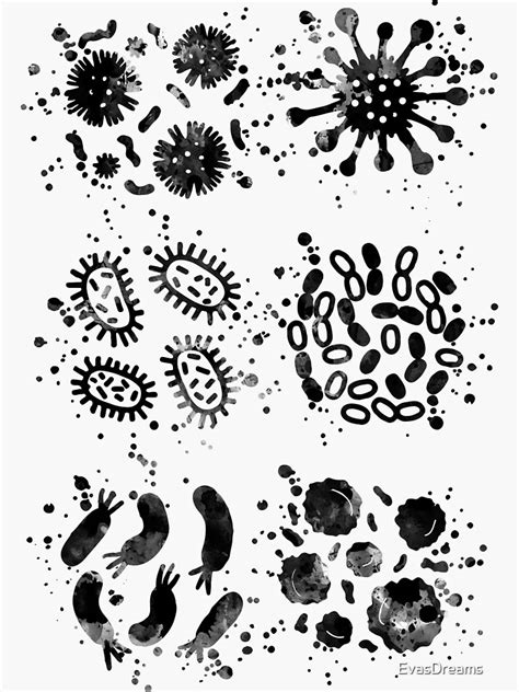 Different Kinds Of Bacteria Collection Sticker For Sale By Evasdreams