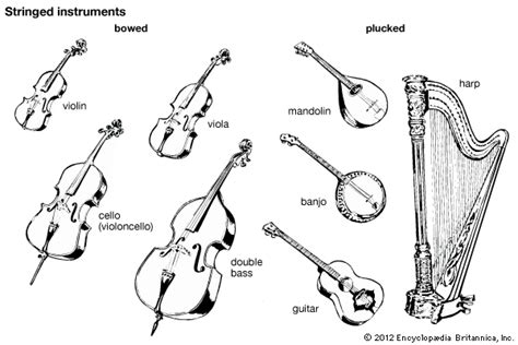 Stringed Instruments Students Britannica Kids Homework Help