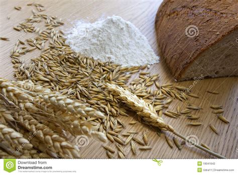 Bread And Grains Stock Photo Image Of Table Food Grains 19041642