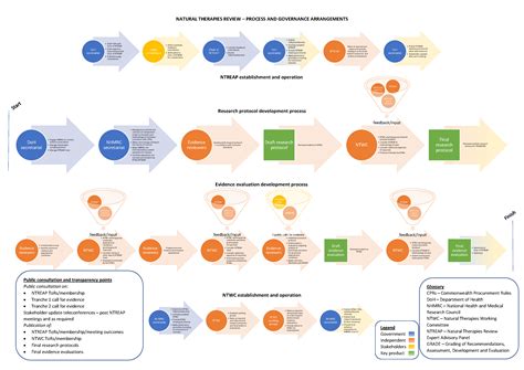natural therapies review process and governance infographic australian government department