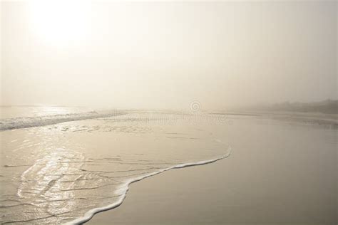 Beautiful Foggy Beach At Sunrise Stock Photo Image Of Serene Foggy