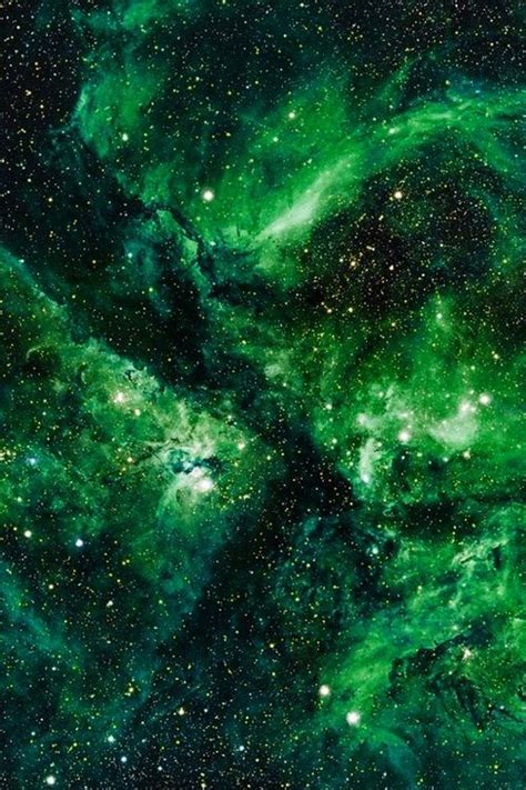 Green Space | Dark green aesthetic, Green aesthetic, Green wallpaper