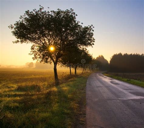 Village Road Stock Photo Image Of Field Horizontal 35941842