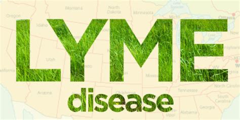 Blog Lyme Disease The Great Masquerader Amen Clinics