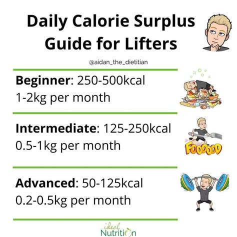 How Large Should A Calorie Surplus Be Ideal Nutrition