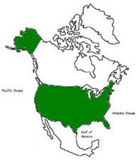 La geografía de Estados Unidos - Geografia moderna