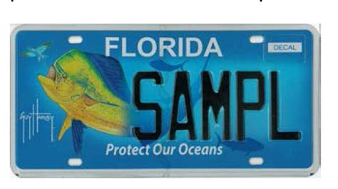 New Florida Plates Surfeaker