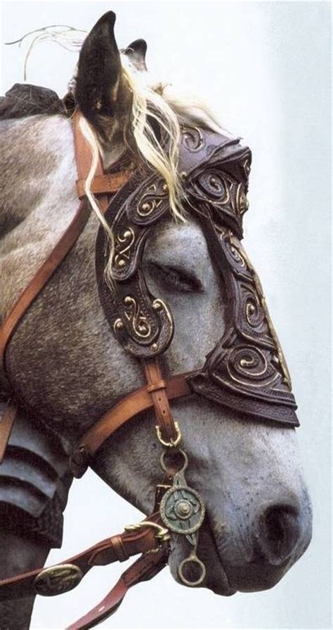 Swelarpers Horses Horse Armor Beautiful Horses