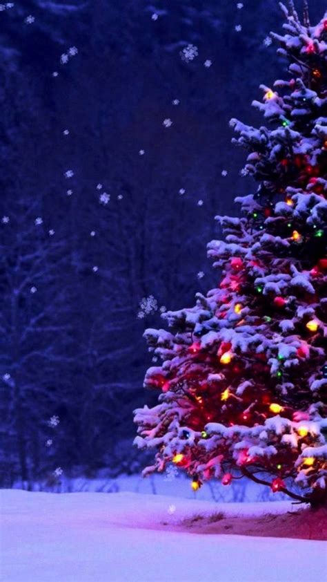 Christmas Winter Wallpaper Wallpapers With Hd Resolution