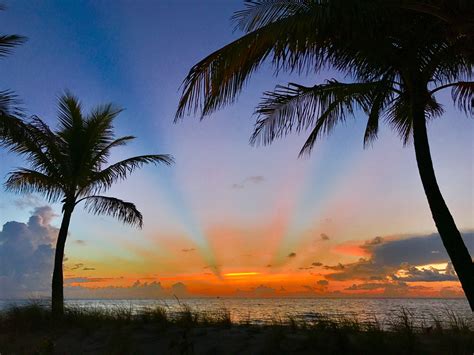 Pin By Tracy Wilson On Beach Sunrise Sunset And Palm Trees Sunrise