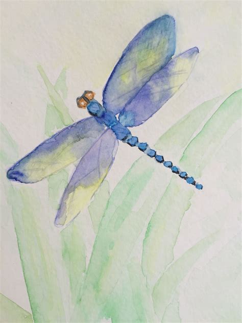 Watercolor Dragonfly By Marjie Davis Feb 2015 Dragonfly Art