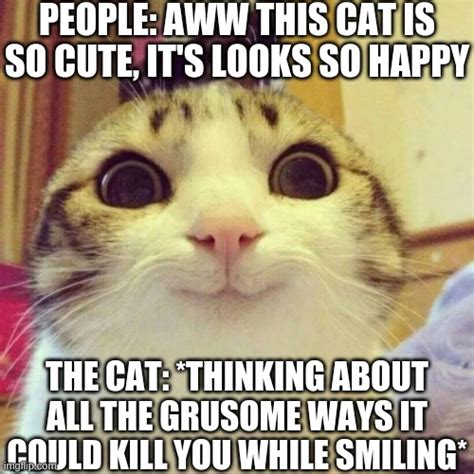 Smiling Cat Memes Imgflip