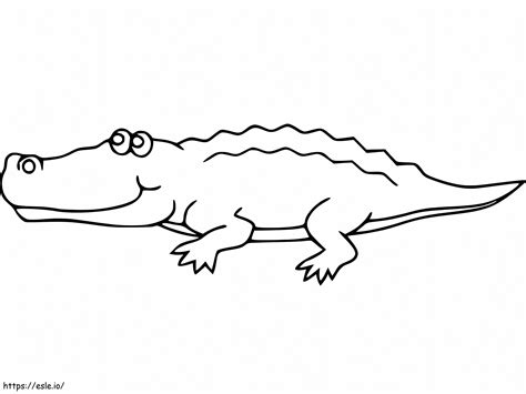 Alligator Facile coloring page