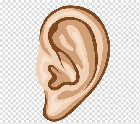 Human Ear Hearing Euclidean Sense Cartoon Ear Hearing Site