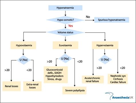 Hyponatremia Serum Na And Causes Hyponatremia Medicine Body Fluid