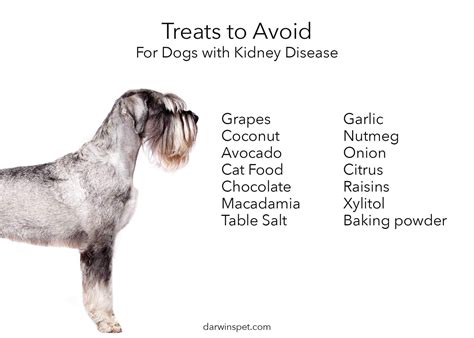 A complete puppy feeding guide with chart. Dog Food for Kidney Disease: How to Choose and Provide the ...