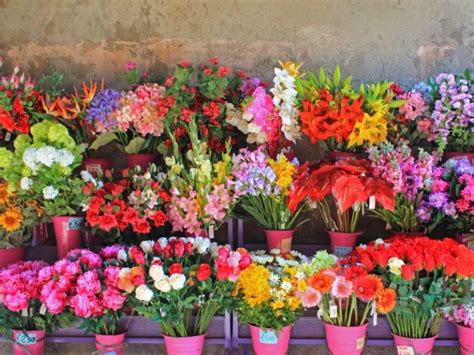 10 Tipos De Flores Para Regalar Kulturaupice