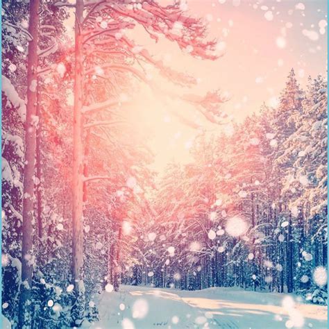 Free Cute Winter Wallpapers Wallpaper Cave