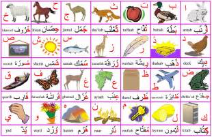 Alphabet Arabe En Images à Imprimer Tests And Jeux éducatifs En Ligne