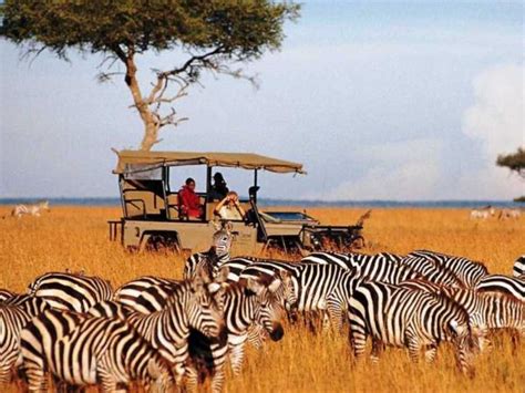 Kenya Safari And Beach Tour Helping Dreamers Do