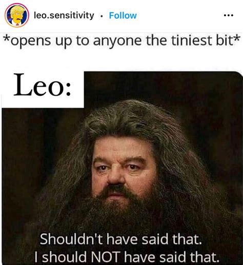 15 Best Leo Memes Quotes That All Leo Zodiac Signs And People Who Love