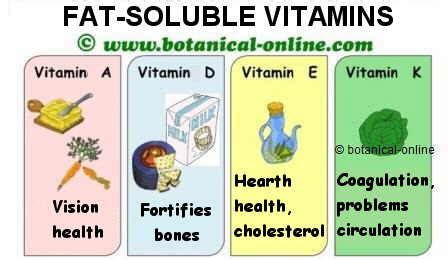 The four fat (lipid) soluble vitamin groups are vitamins a, d, e, and k and are all related structurally. Fat-soluble vitamins characteristics - Botanical online