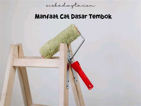 Manfaat Cat Dasar Tembok Yang Perlu Diketahui