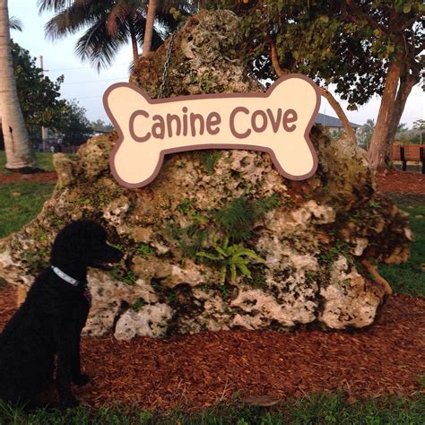 Canine Cove Marco Island Atualizado 2022 O Que Saber Antes De Ir