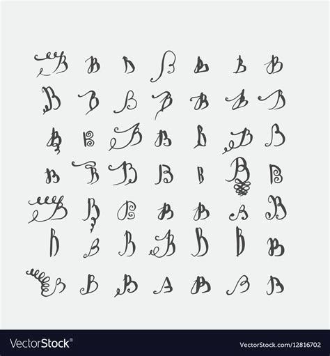 Set Of Calligraphic Letters B Handwritten Vector Image