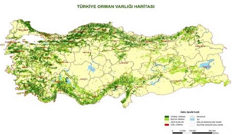 Türkiye de geniş yeşil alanlara sahip bir ülke olduğu için doğal afetlerden olan orman yangınları yaşanmaktadır. Türkiye'de Ormanların Dağılışı