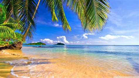 Tropical Beach Wallpaper 68 Pictures