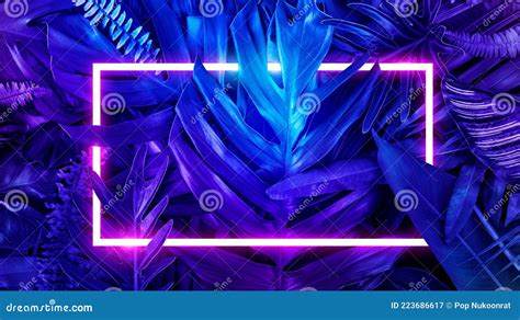 Colorful Nature Concept Neon Colorful Of Tropical Leaves With Neon