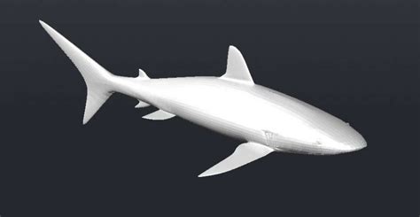 Unique Shark Fish 3d Elevation Block Cad Drawing Details Dwg File Cadbull