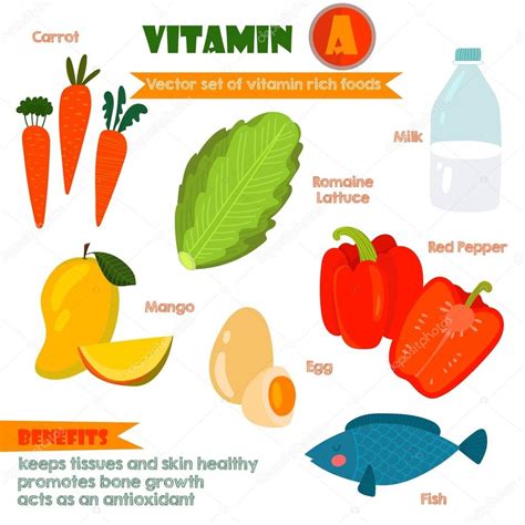 Vitaminas Y Minerales Alimentos Set Ilustrador Vector Conjunto De