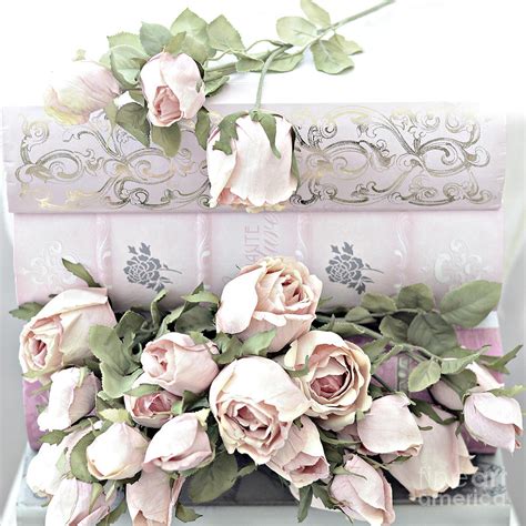 Pink Shabby Chic Roses On Pink Cottage Books Shabby Cottage Pink Roses Home Decor Photograph