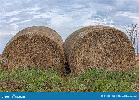 A Big Hay Bale On A Farm Hay Bales On The Field After Harvest Stock