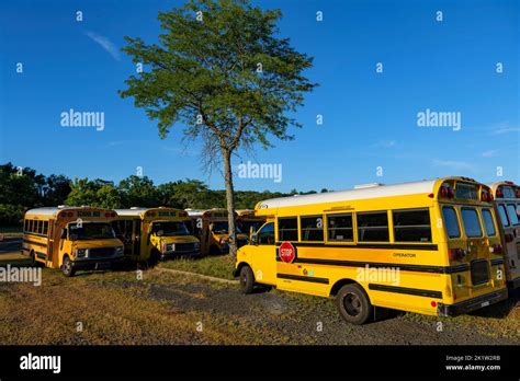 Yellow School Bus Against Blue Sky Stop Sign On A Side School Bus
