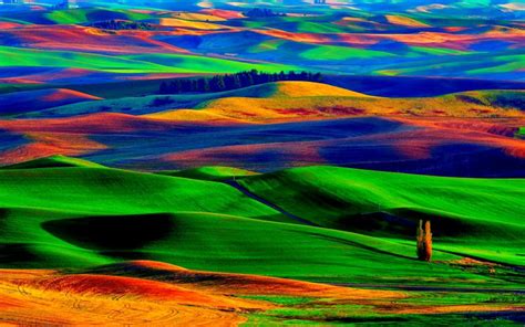 Hd Colorful Field Wallpaper Download Free 56432