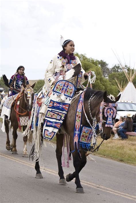 Traditional Crow Tack Native American Horses Native American Regalia