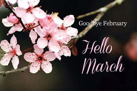 Goodbye February Hello March Hello March Hello March Images