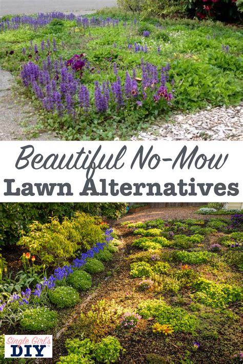 Never Mow Again With These Lawn Alternatives Single Girl
