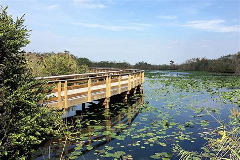 Everglades National Park Fl 2023 Best Places To Visit Tripadvisor
