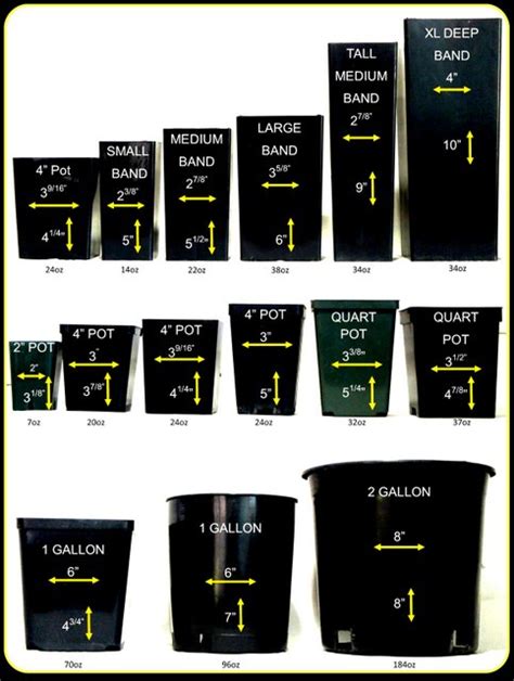 Container Gardening Plant Container Size Chart