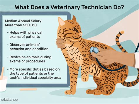 They're responsible for feeding, bathing, and exercising the animals, and they restrain them during. Veterinary Assistant Job Description / Vet Tech Job Description Examples Resume Cv Vet Tech Job ...
