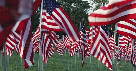 Memorial Display Of Thousands Of American Flags Del Colaborador De