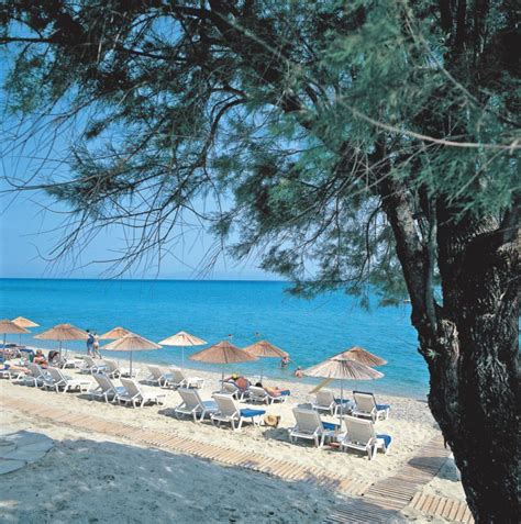 Grecotel Pella Beach à Hanioti Kassandra Chalcidique Grèce Tui 2023