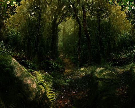 Mystical Forest Forest Art Art