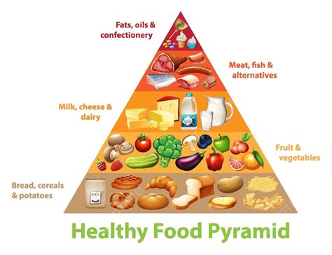 Healthy Food Pyramid Chart Illustration Healthy Information Vector